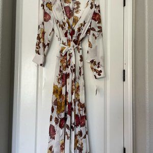 Sheer maxi dress